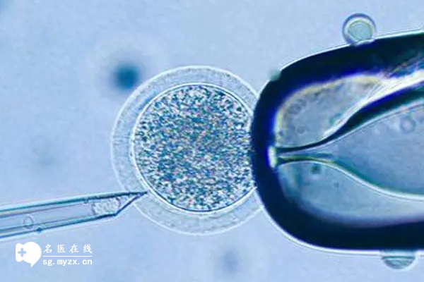 探究泰国试管婴儿的优势(成功率高只是优势之一)